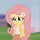 Fluttershy russ