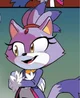 Blaze the Cat