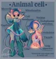 Ainmal cell