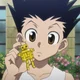Gon Freecss