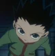 Gon