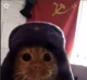 ussr_cat -yandere-