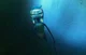 Fish sonic