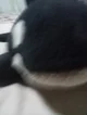 Orca plush 4