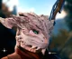 Dragonborn female