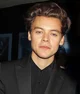 Harry styles 