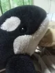 Orca plush 5