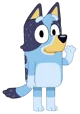 Adult Bluey