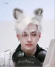 bang chan 