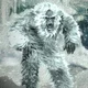 Yeti