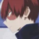 Shoto Todoroki