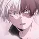 Shoto Todoroki