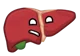 Liver