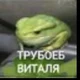 Truboyob Vitalya 