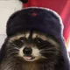 rusty the raccoon