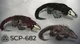 3 scps 682