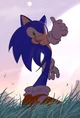 Sonic the hedgehog 