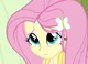 Fluttershy - EQG -