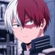 Shoto Todoroki 