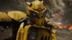 Bumblebee -BM-