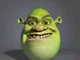 shrek