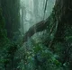 02 - Pandora