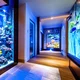 The Aquarium 
