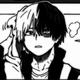 Shoto Todoroki 