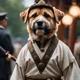 Perro samurai