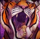Tiger vore