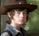 Carl Grimes-MLM