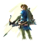 BOTW Link