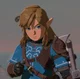 Link from BOTW  