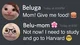 Beluga and belu-mom