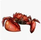 Crab monster