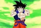 Dragon ball RP