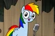 Rainbow Dash 