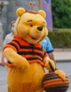 Winnie the Pooh