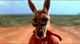 Kangaroo Jack