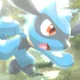 Riolu