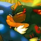Shadow savage 