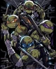TMNT bayverse