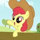 Apple bloom
