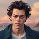 Harry Styles 