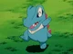 Totodile -Pokémon-