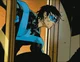 Dick Grayson
