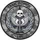 Task Force 141