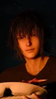 Noctis Lucis Caelum