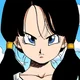 Videl