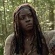 Michonne Grimes 